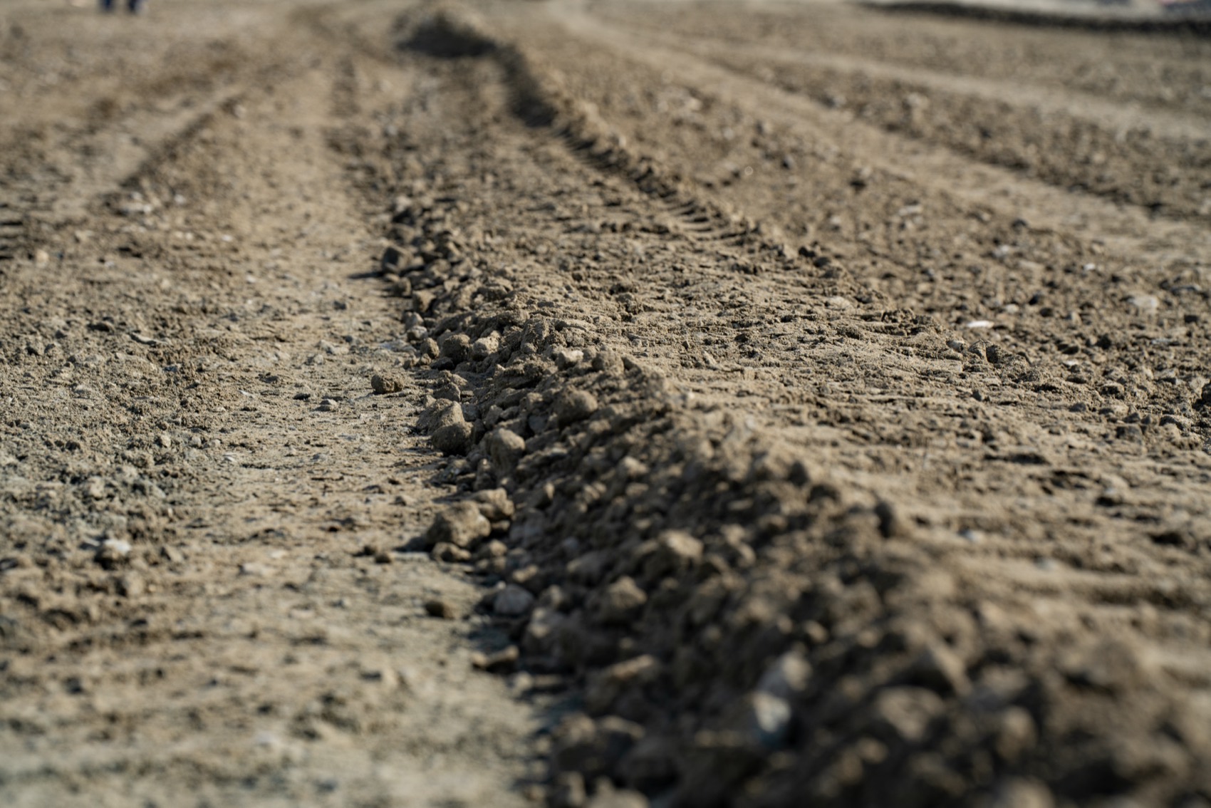 Al Bilaidah Area Infrastructure Development — Phase 2